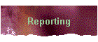 Reporting